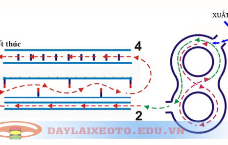 HƯỚNG DẪN TỔNG HỢP A1 (HỌC LÝ THUYẾT - HỌC THỰC HÀNH )