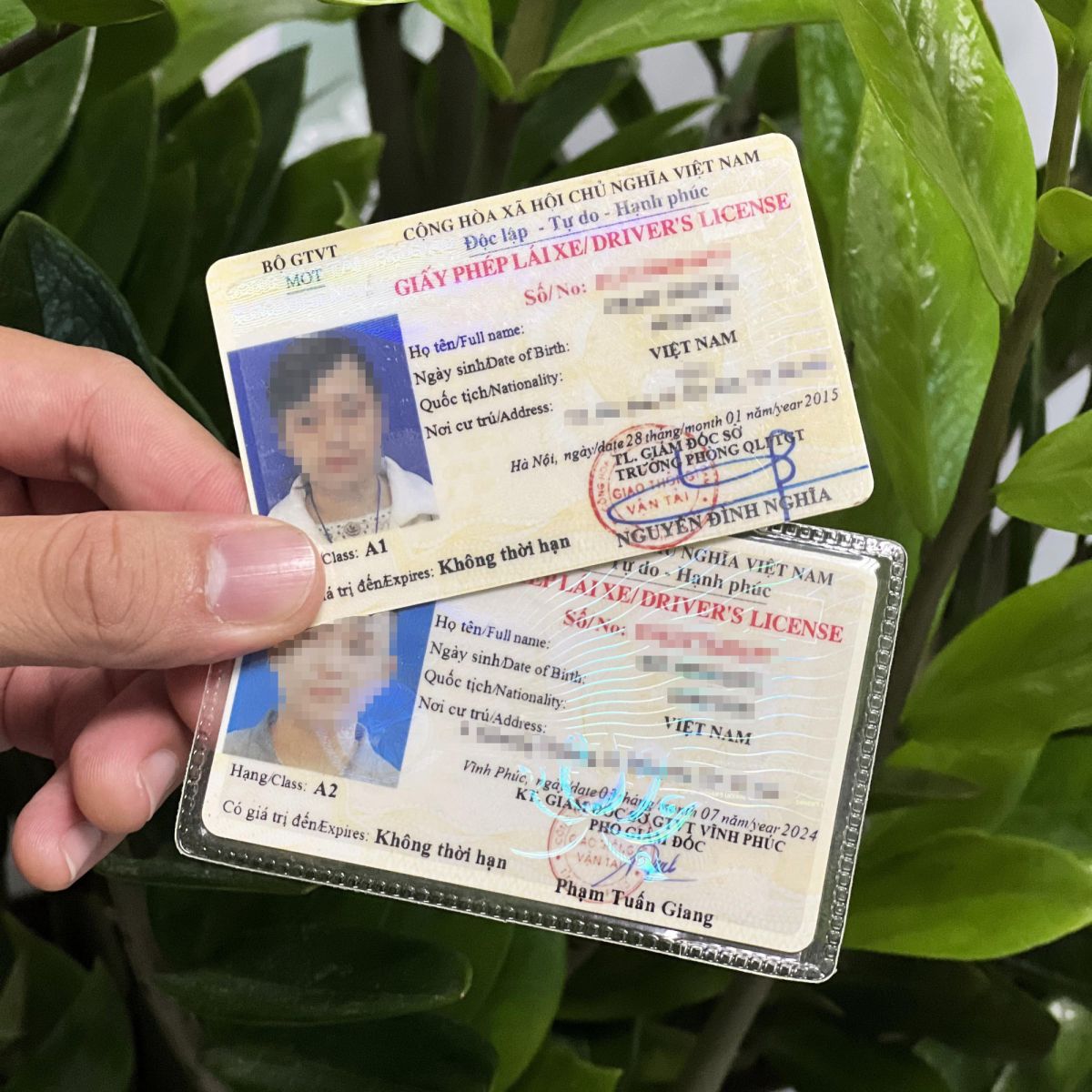 Học bằng lái xe hạng A1 TpHCM